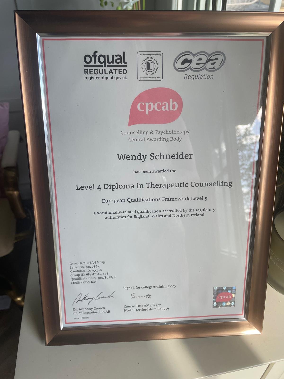 Wendy Schneider's Level 4 Diploma in Therapeutic Counselling